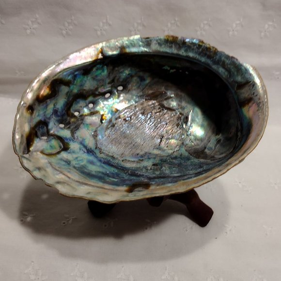 Small Abalone Seashell with stand - Picture 1 of 5